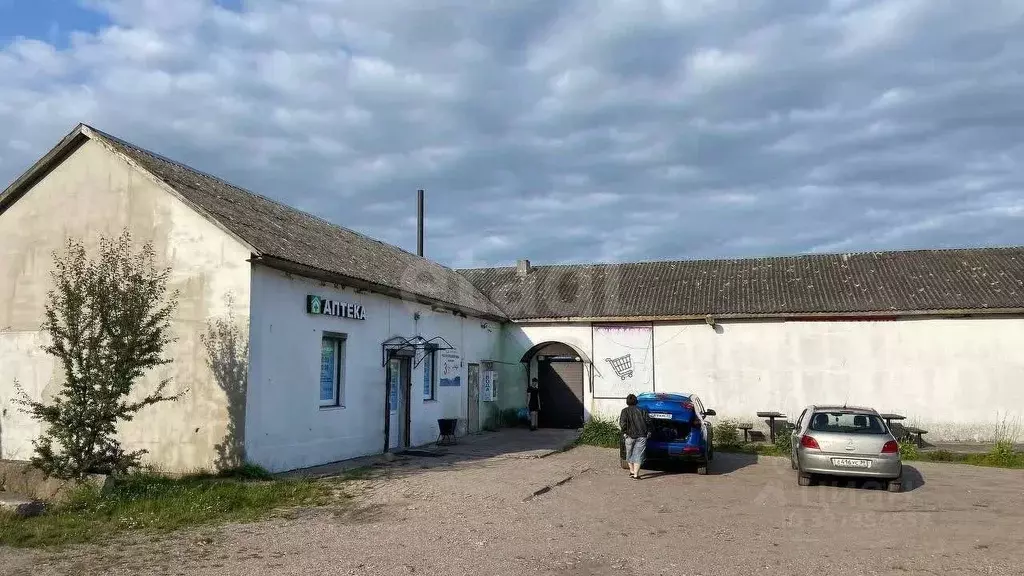 Торговая площадь в Калининградская область, Багратионовский ... - Фото 2