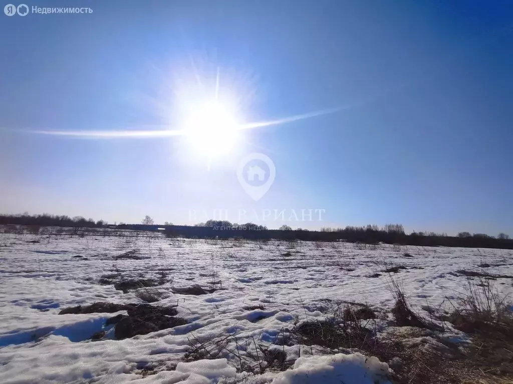Участок в Ярославская область, Рыбинский муниципальный округ, посёлок ... - Фото 2