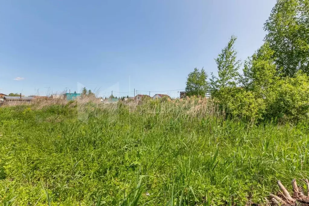 Участок в Тюменская область, Тюмень Якорь садовое товарищество, ул. ... - Фото 1