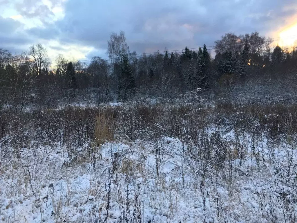 Участок в Московская область, Пушкинский городской округ, д. Раково  ... - Фото 0