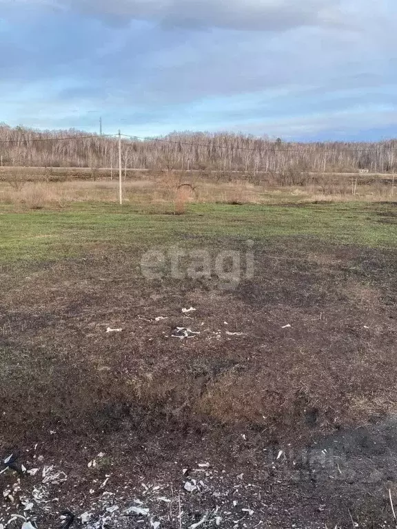Участок в Амурская область, Благовещенский район, с. Новотроицкое  ... - Фото 1