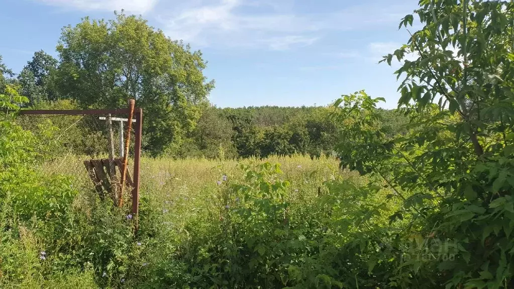 Участок в Липецкая область, Елецкий район, Нижневоргольский сельсовет, ... - Фото 1