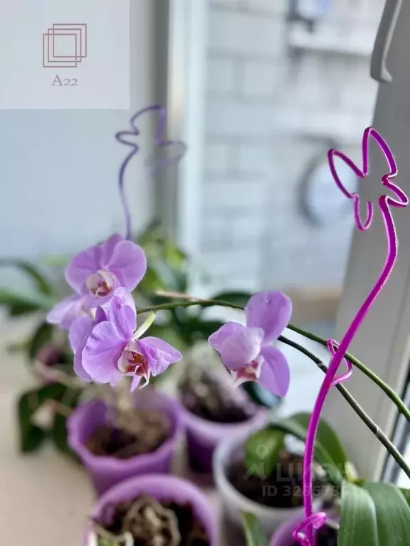 3-к кв. Алтайский край, Барнаул ул. Попова, 150 (97.3 м) - Фото 1