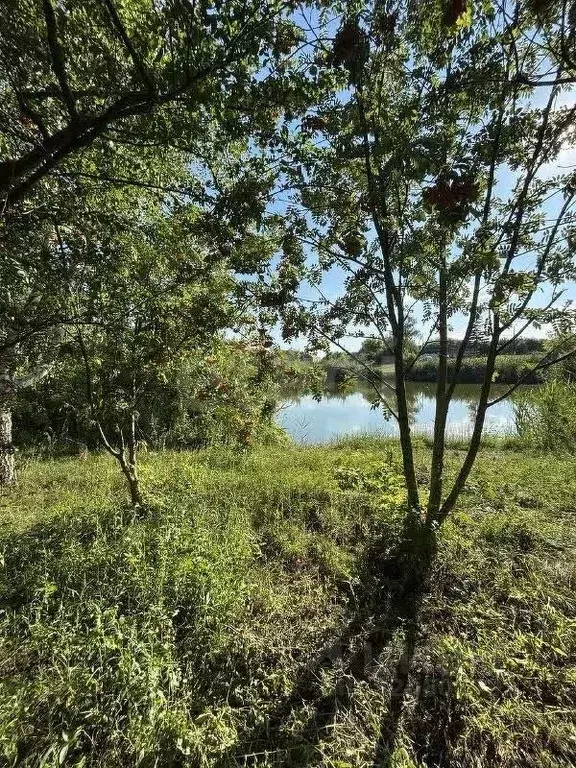 Дом в Белгородская область, Корочанский район, Проходенское с/пос, с. ... - Фото 2