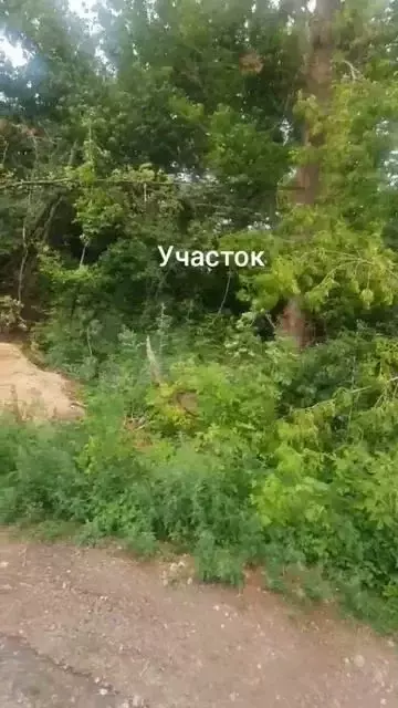 Участок 8 сот. (ИЖС) - Фото 1