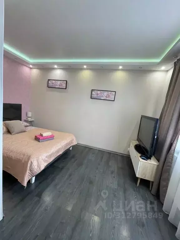 1-к кв. Карелия, Петрозаводск ул. Древлянка, 3 (26.0 м) - Фото 1