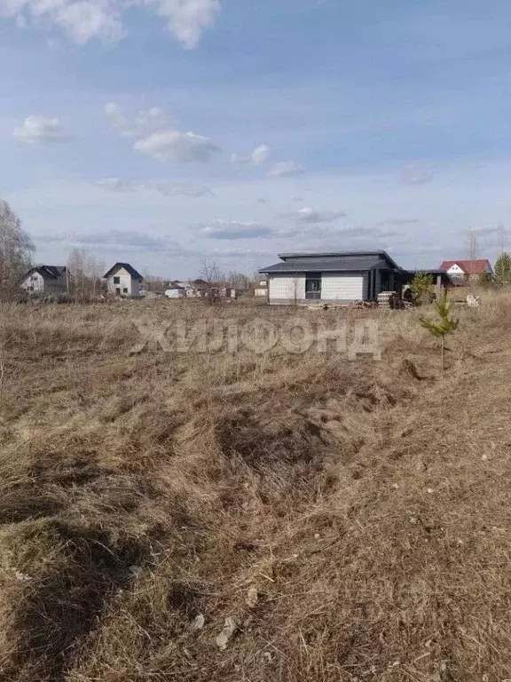 Участок в Алтайский край, Барнаул городской округ, пос. Бельмесево ул. ... - Фото 2