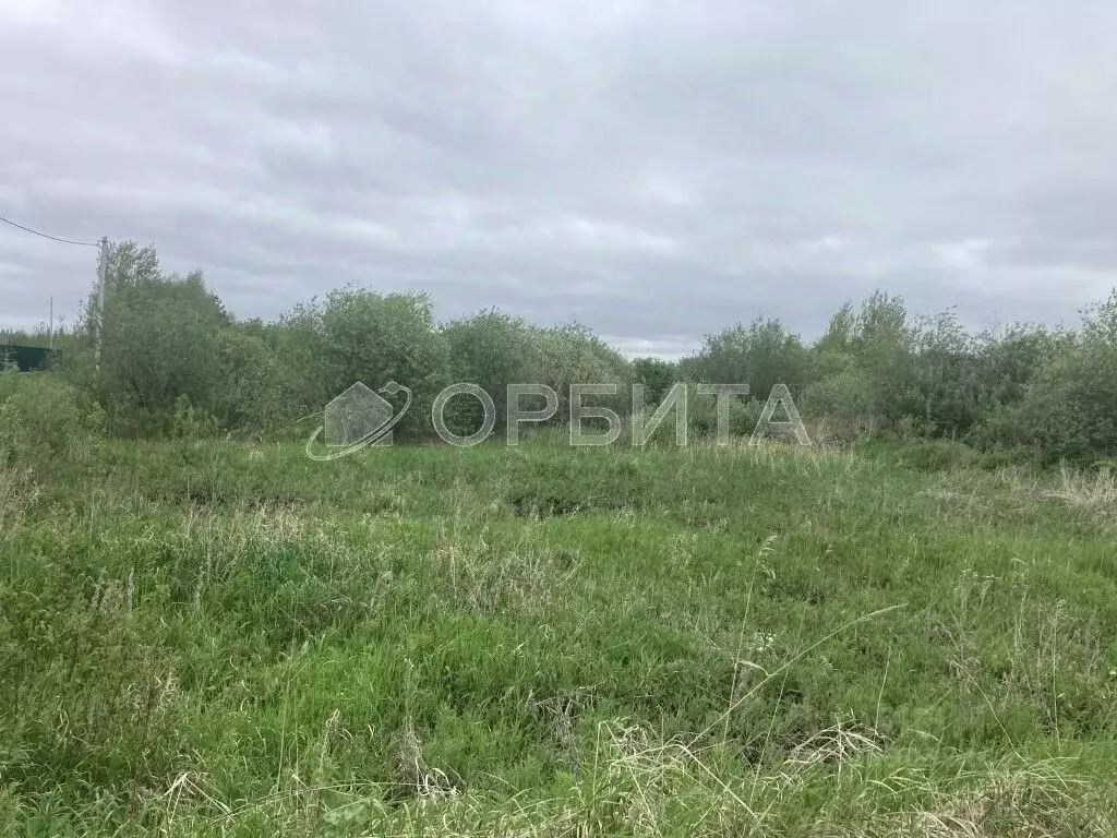 Участок в Тюменская область, Тюмень Поле Чудес-2 садовое товарищество, ... - Фото 1