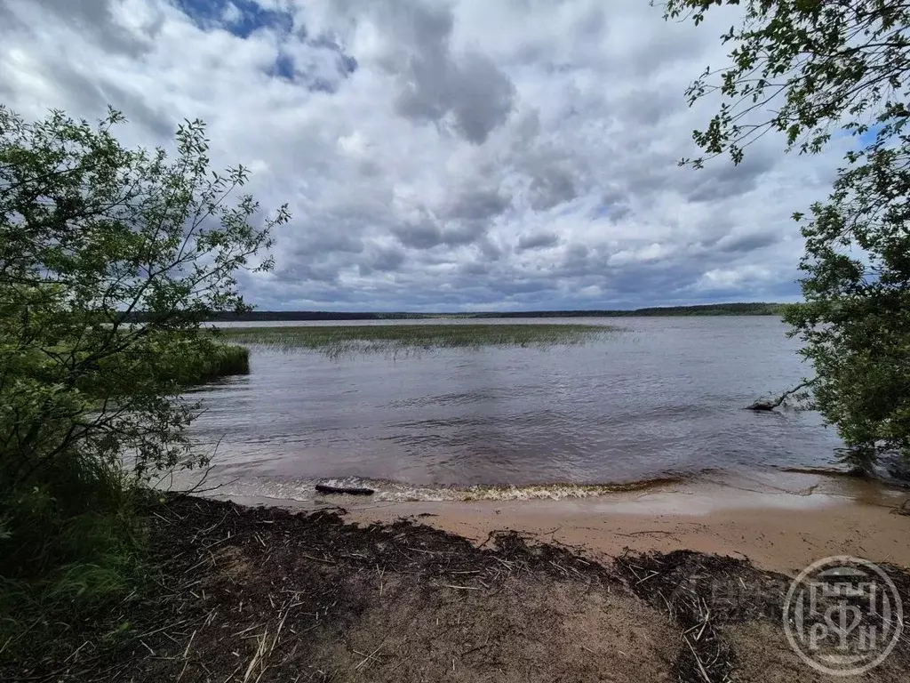 Дом в Ленинградская область, Всеволожский район, Куйвозовское с/пос, ... - Фото 2