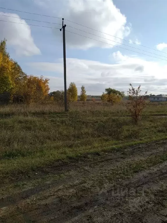 Участок в Рязанская область, Михайловский район, Поярковское с/пос, д. ... - Фото 1