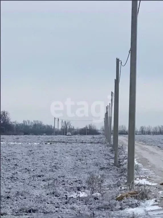 Участок в Ростовская область, Мясниковский район, Краснокрымское ... - Фото 1