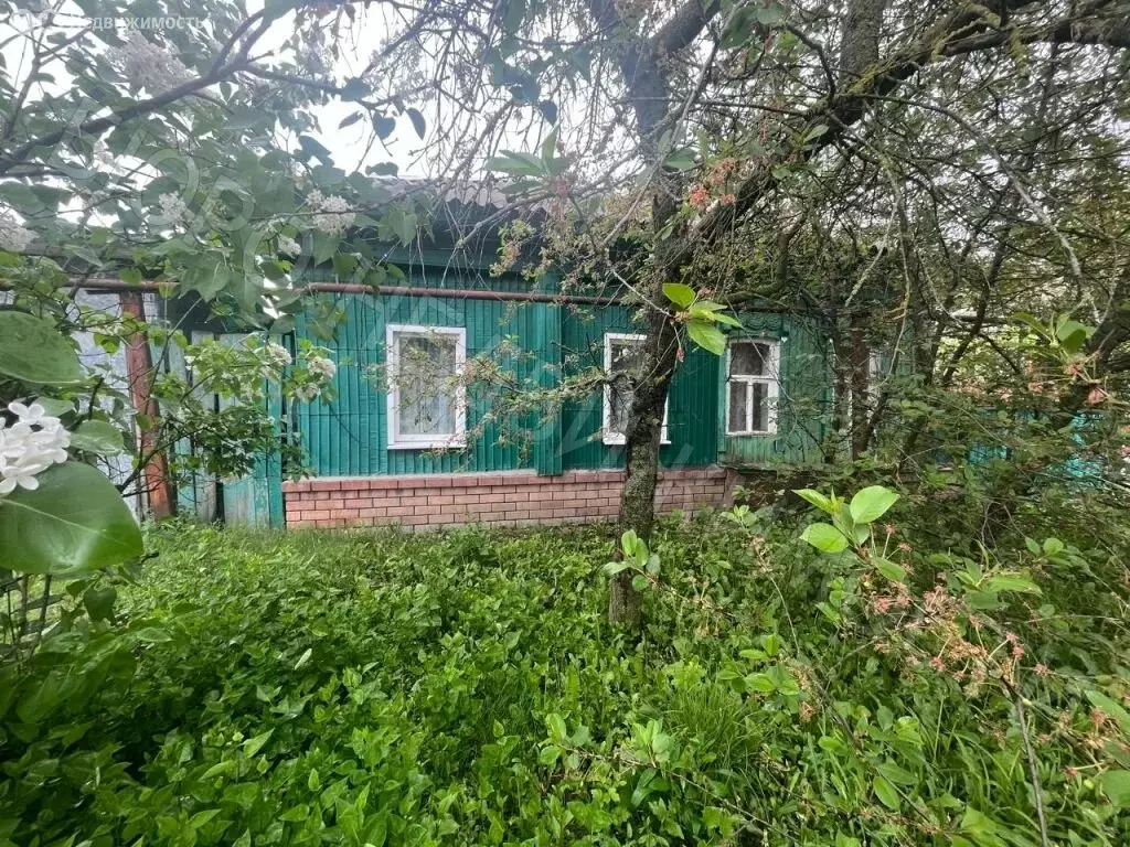 Дом в Балашов, Республиканская улица, 35 (42.9 м) - Фото 1