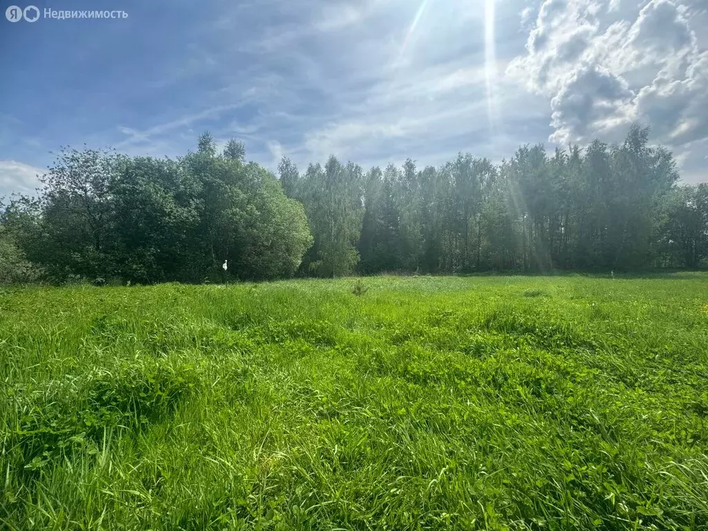 Участок в муниципальное образование Пенкинское, деревня Неверково (12 ... - Фото 0