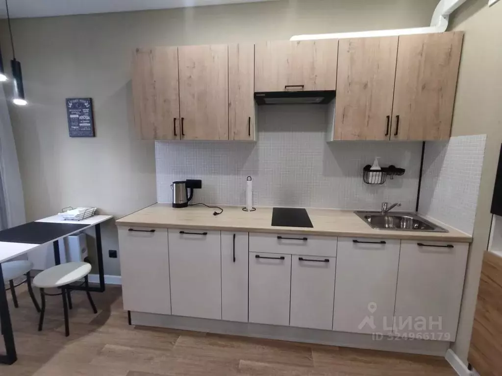 1-к кв. Псковская область, Псковский район, Завеличенская волость, д. ... - Фото 1