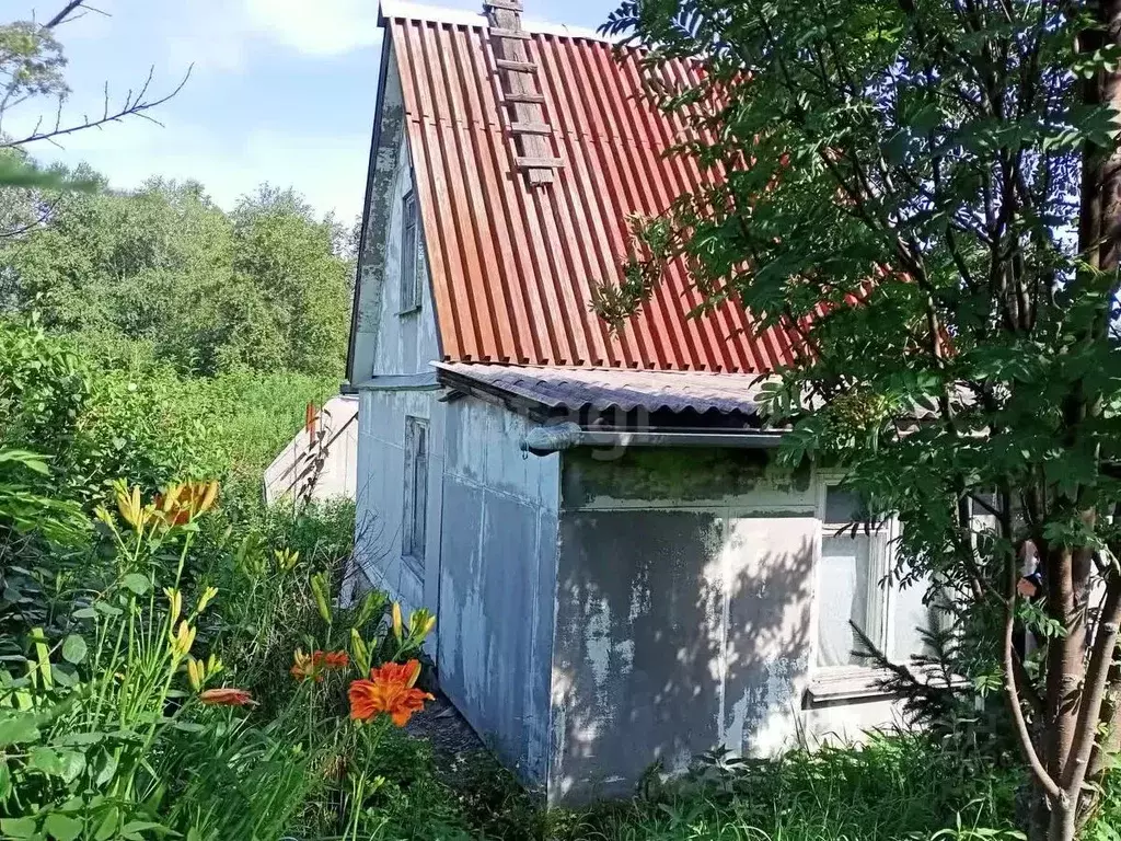 Дом в Кемеровская область, Новокузнецкий муниципальный округ, с. ... - Фото 1