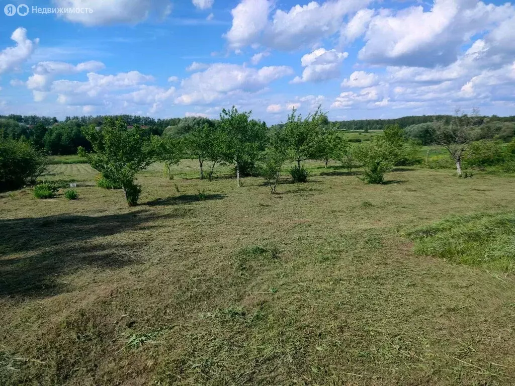 Участок в Московская область, муниципальный округ Луховицы, село ... - Фото 0