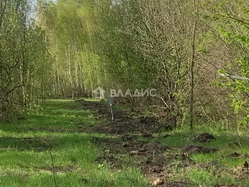 Участок в Воронежская область, Воронеж ул. Совхозная (5.0 сот.) - Фото 0