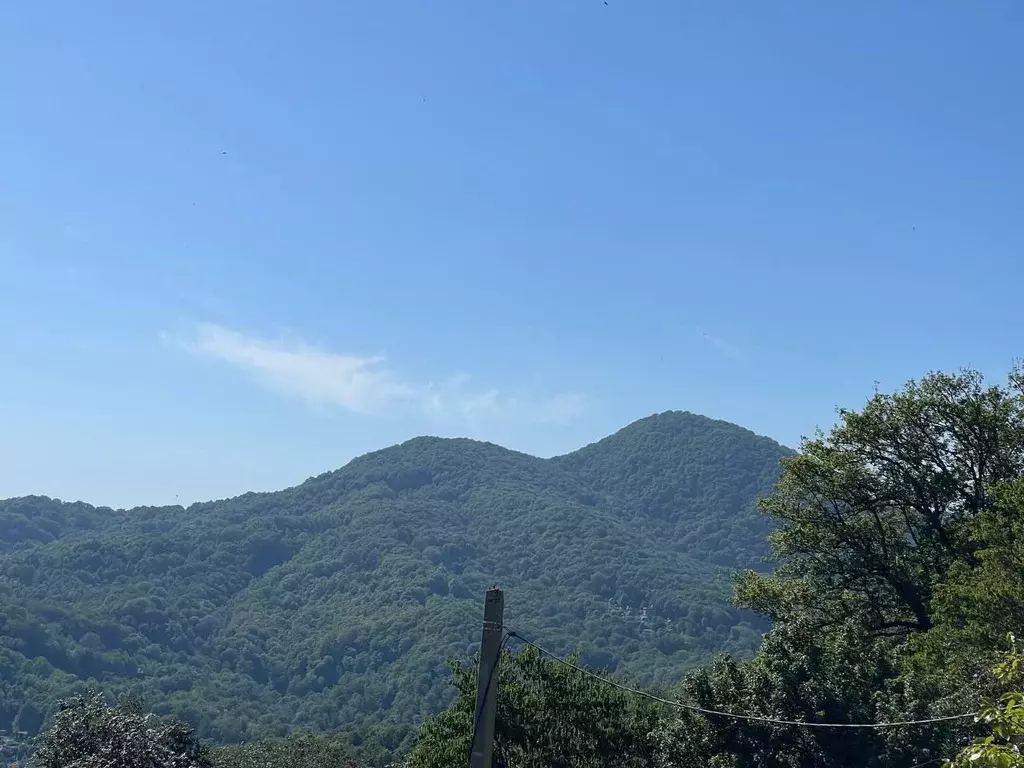 Участок в Краснодарский край, Сочи городской округ, с. Измайловка пер. ... - Фото 2