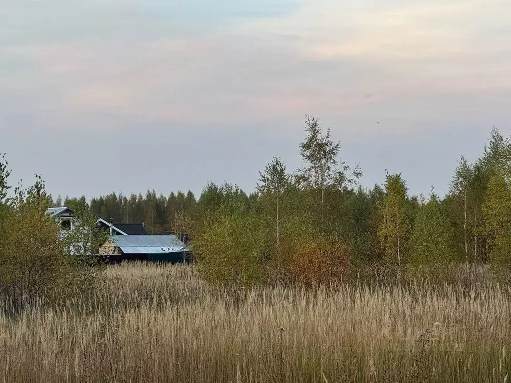 Участок в Московская область, Кашира Ожерелье мкр,  (12.17 сот.) - Фото 0