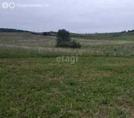Участок в Пермский муниципальный округ, деревня Шугуровка (104.2 м) - Фото 1