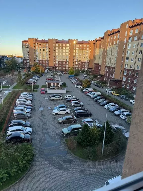 1-к кв. Калининградская область, Калининград ул. Липовая аллея, 5 ... - Фото 2