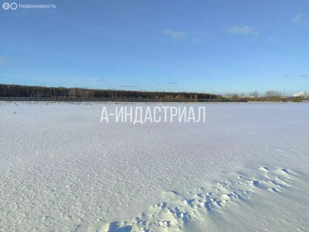 Участок в деревня Сертякино, 63 (76 м) - Фото 1