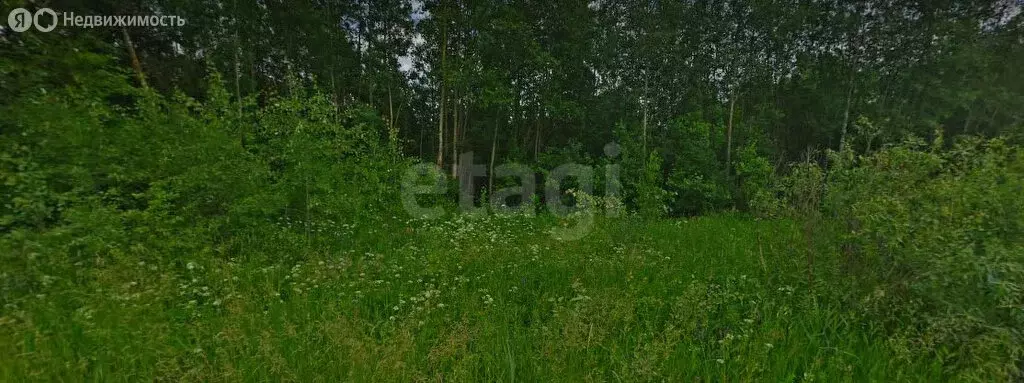 Участок в Вологда, 2-й Власьевский переулок (8 м) - Фото 0