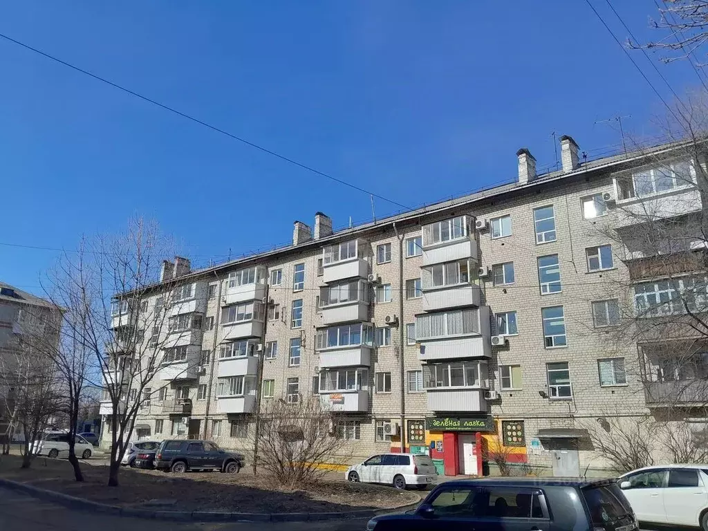 3-к кв. Еврейская автономная область, Биробиджан ул. Димитрова, 17 ... - Фото 0
