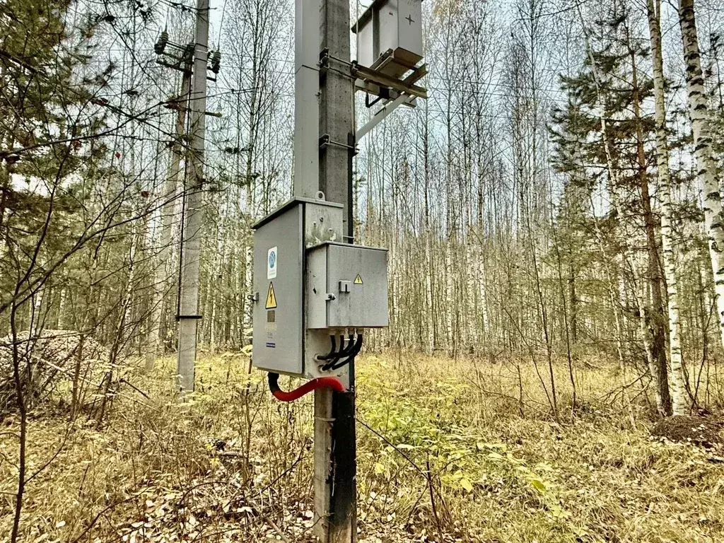 Участок в Татарстан, Лаишевский район, Орловское с/пос, д. Орел  (73.0 ... - Фото 1