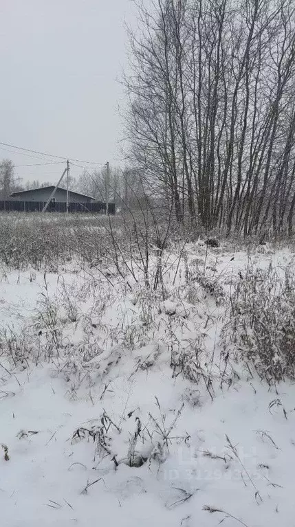 Участок в Московская область, Ступино городской округ, д. Родоманово  ... - Фото 0