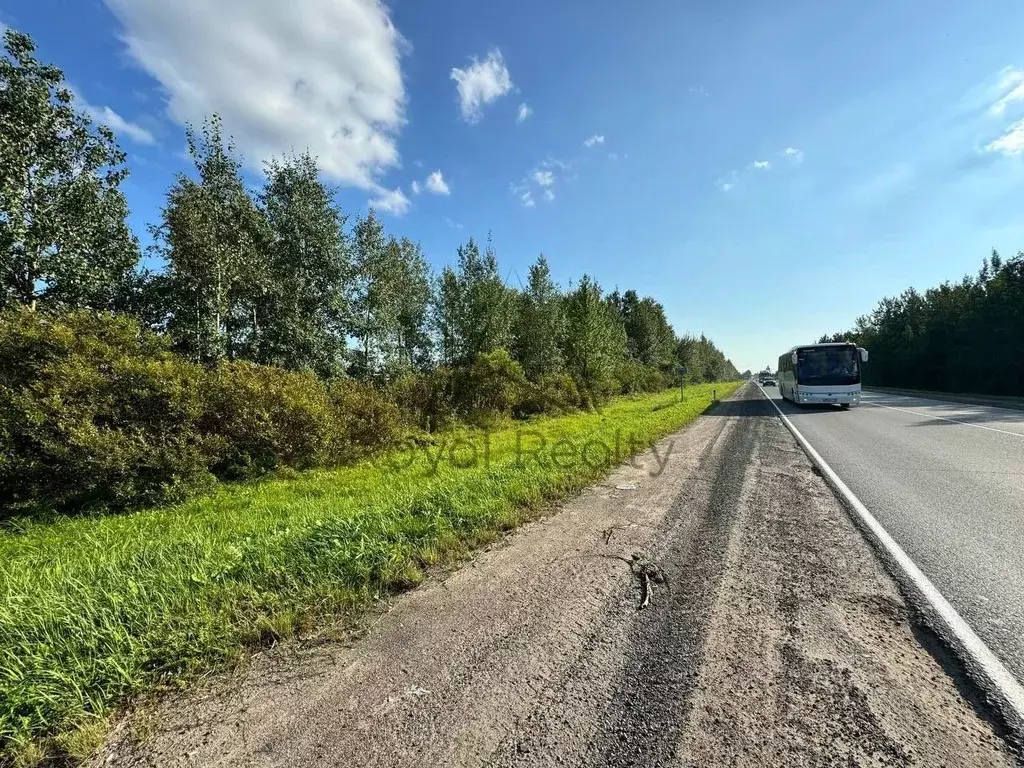 Участок в Ленинградская область, Гатчинский муниципальный округ, д. ... - Фото 2