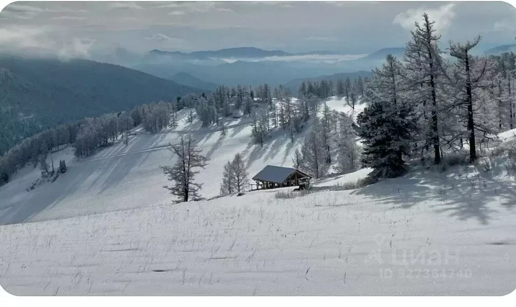 Участок в Алтай, Чемальский район, Элекмонарское с/пос, Седьмое Небо ... - Фото 1