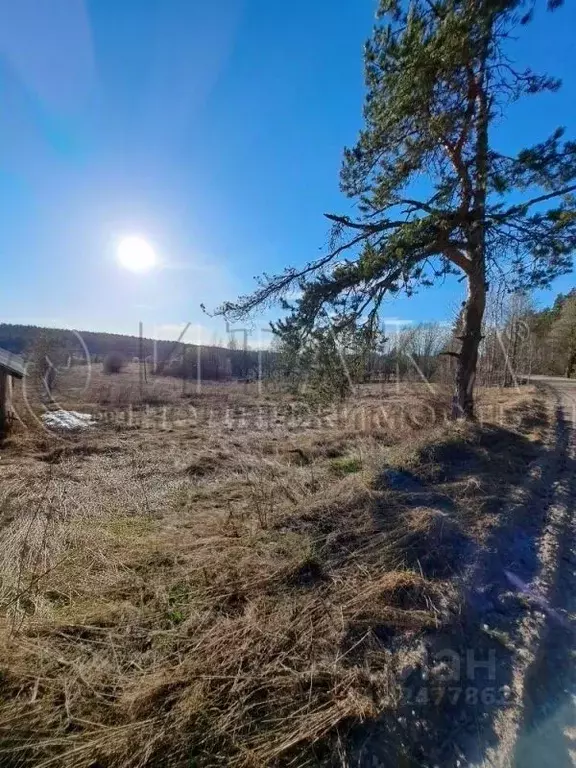 Участок в Ленинградская область, Выборгский район, Каменногорское ... - Фото 0