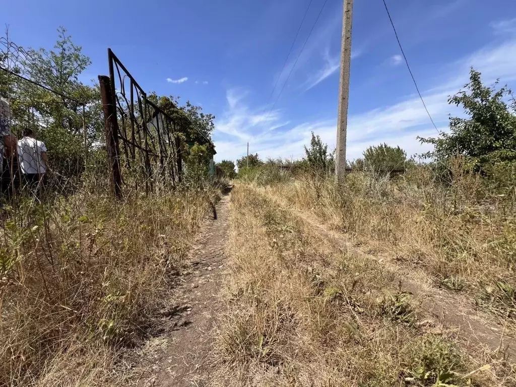 участок в ростовская область, родионово-несветайский район, . - Фото 0