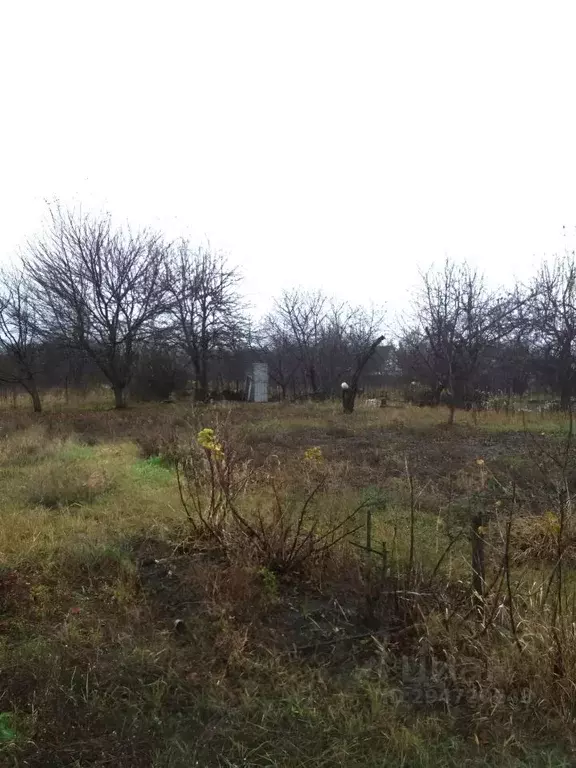 Дом в Белгородская область, Белгородский район, Северный городское ... - Фото 1