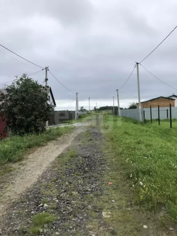 Участок в Тюменская область, Тюменский район, д. Якуши ул. Алеева ... - Фото 1