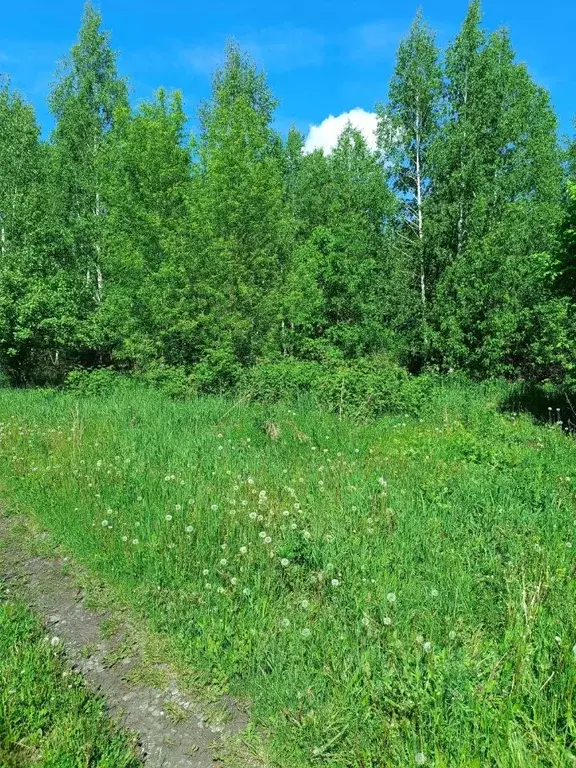 Участок в Башкортостан, Уфимский район, Булгаковский сельсовет, ... - Фото 2