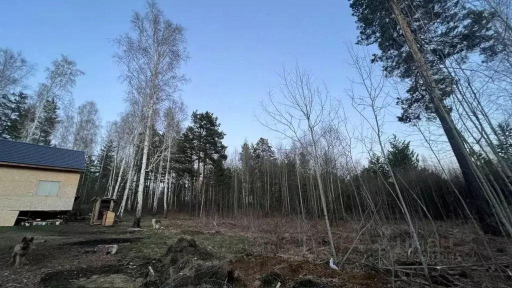 Участок в Иркутская область, Иркутский муниципальный округ, д. ... - Фото 1