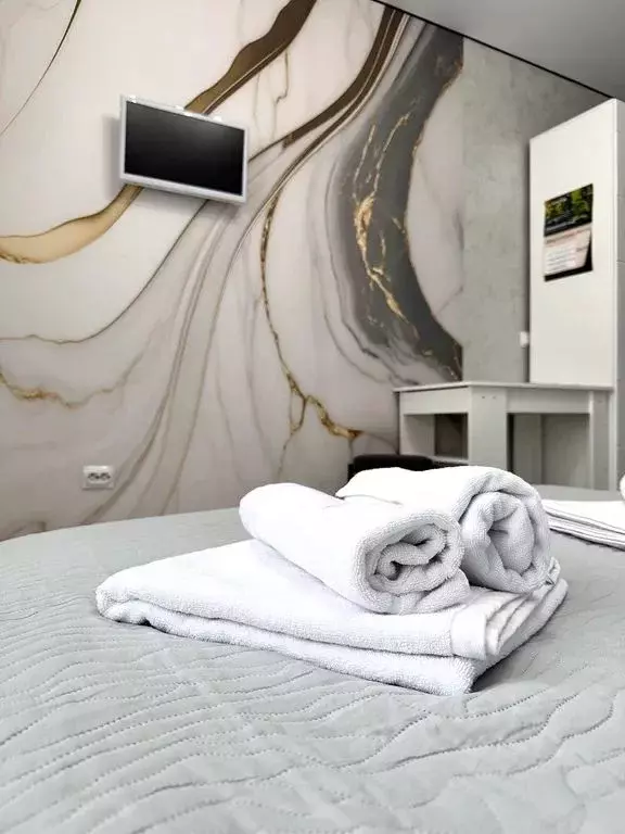 Студия Адыгея, Майкоп ул. К.А. Васильева, 2к2 (20.0 м) - Фото 2