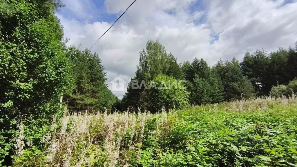 Участок в Владимирская область, Суздальский район, Селецкое ... - Фото 2