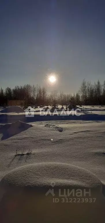 Дом в Владимирская область, Суздаль ул. Восточная, 29 (120 м) - Фото 1