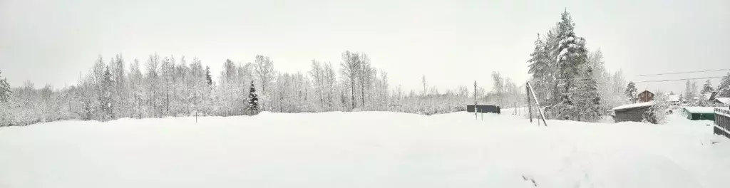 Участок в Ленинградская область, Ломоносовский район, Пениковское ... - Фото 0