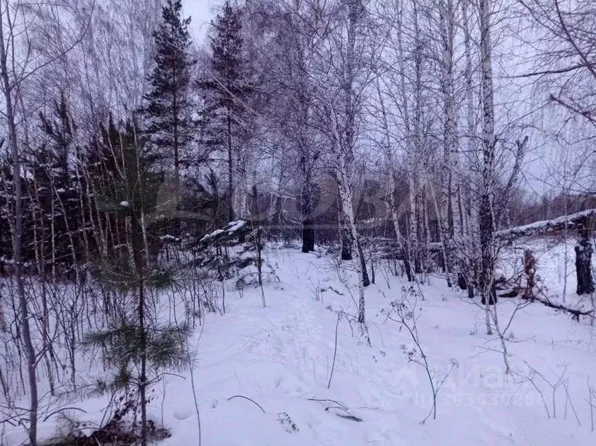 Участок в Тюменская область, Тюменский район, с. Каменка  (9.0 сот.) - Фото 1