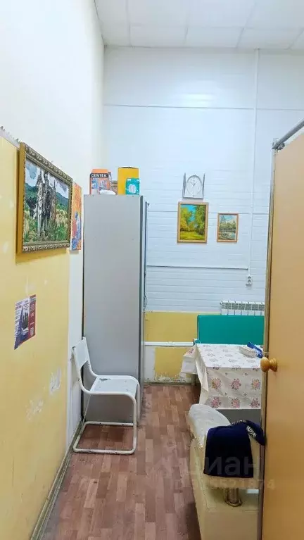 Помещение свободного назначения в Новосибирская область, Колывань рп ... - Фото 1