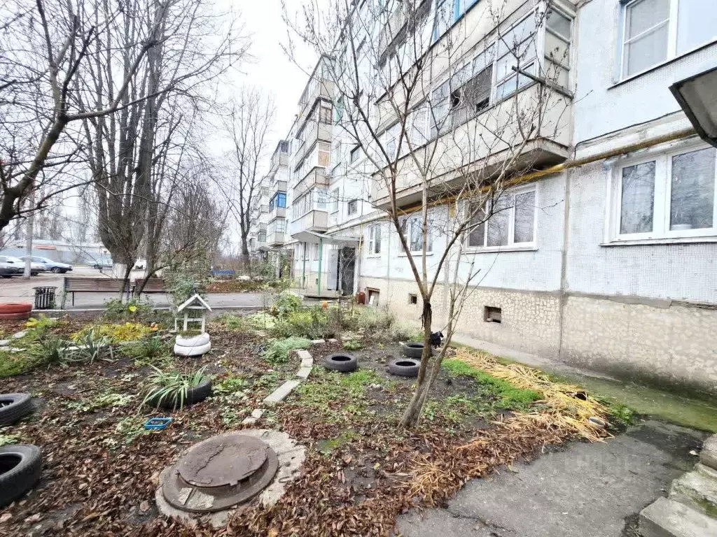 3-к кв. Белгородская область, Валуйки ул. Соколова, 1Г (46.7 м) - Фото 1