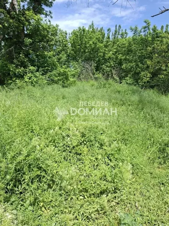 Участок в Ростовская область, Новочеркасск Железнодорожная ул., 44 ... - Фото 2