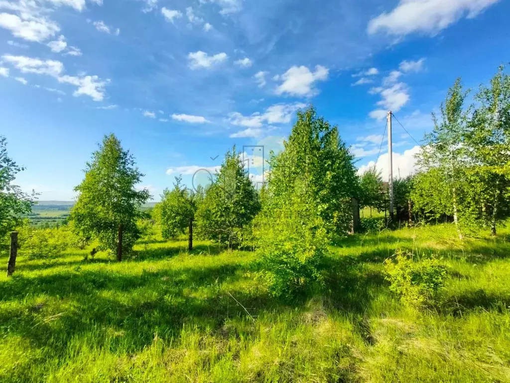 Участок в Иркутская область, Иркутский муниципальный округ, д. ... - Фото 1