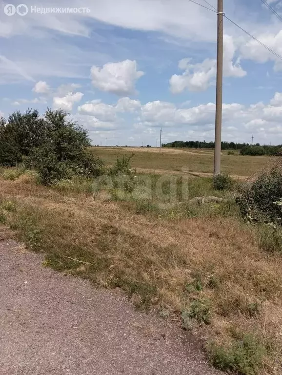 Участок в село Святославка, Дачная улица (1600 м) - Фото 2