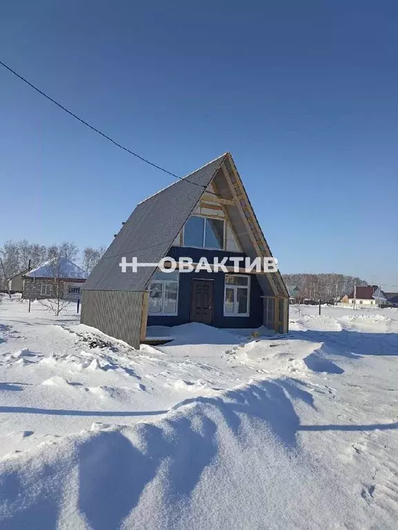 Дом в Новосибирская область, Ордынское рп ул. Снежная, 20 (78 м) - Фото 1