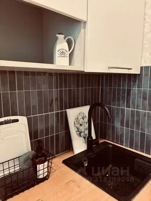 Студия Ленинградская область, Мурино Всеволожский район, аллея ... - Фото 1